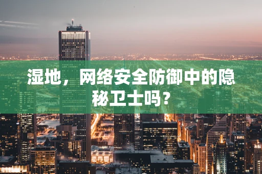 湿地，网络安全防御中的隐秘卫士吗？