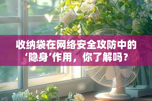 收纳袋在网络安全攻防中的‘隐身’作用，你了解吗？