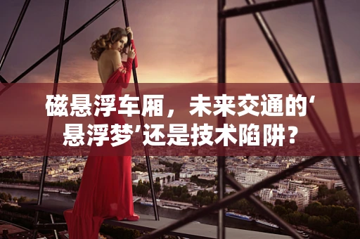 磁悬浮车厢，未来交通的‘悬浮梦’还是技术陷阱？