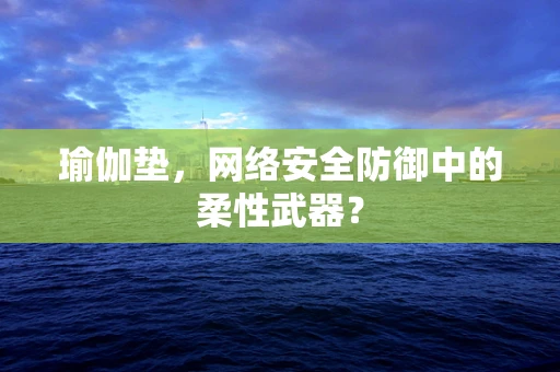 瑜伽垫，网络安全防御中的柔性武器？