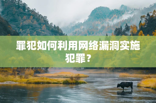 罪犯如何利用网络漏洞实施犯罪？