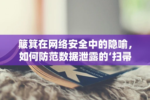 簸箕在网络安全中的隐喻，如何防范数据泄露的‘扫帚’？