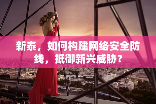 新泰，如何构建网络安全防线，抵御新兴威胁？