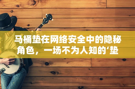 马桶垫在网络安全中的隐秘角色，一场不为人知的‘垫’防战？