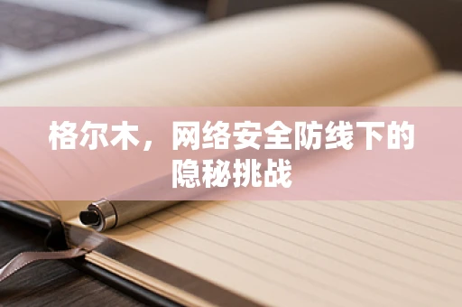 格尔木，网络安全防线下的隐秘挑战