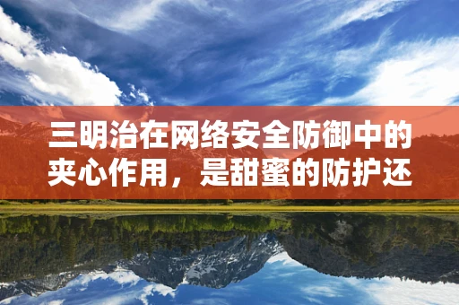 三明治在网络安全防御中的夹心作用，是甜蜜的防护还是隐秘的威胁？
