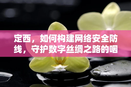 定西，如何构建网络安全防线，守护数字丝绸之路的咽喉之地？