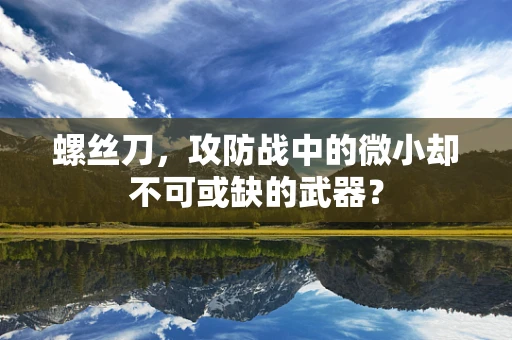 螺丝刀，攻防战中的微小却不可或缺的武器？