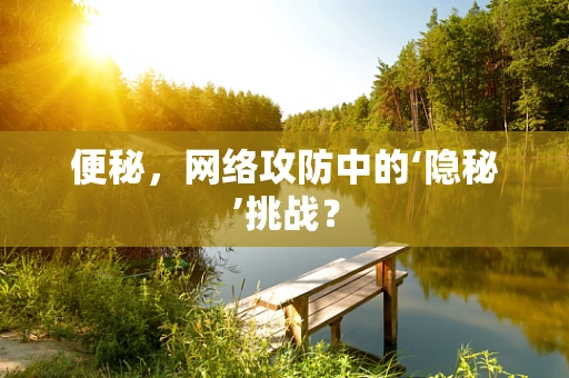 便秘，网络攻防中的‘隐秘’挑战？