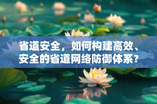 省道安全，如何构建高效、安全的省道网络防御体系？