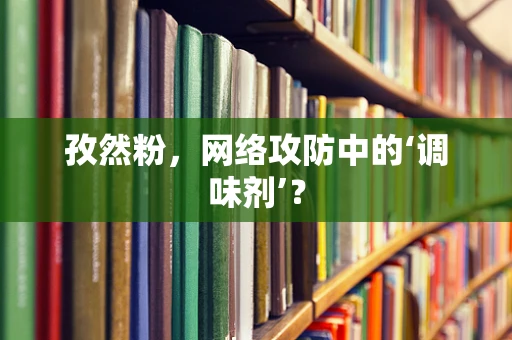 孜然粉，网络攻防中的‘调味剂’？