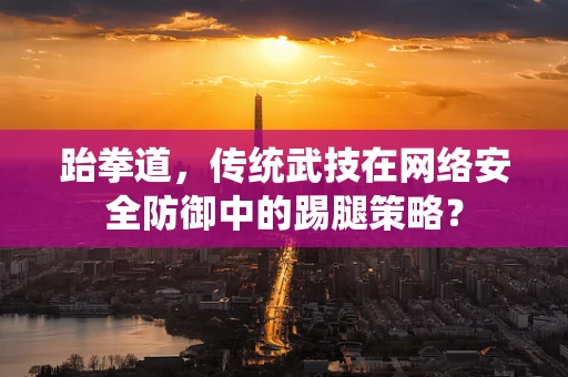 跆拳道，传统武技在网络安全防御中的踢腿策略？