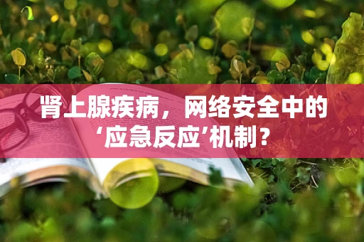 肾上腺疾病，网络安全中的‘应急反应’机制？