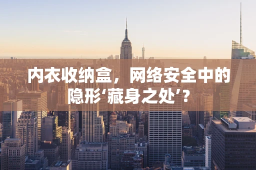 内衣收纳盒，网络安全中的隐形‘藏身之处’？