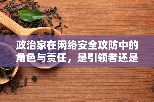 政治家在网络安全攻防中的角色与责任，是引领者还是旁观者？