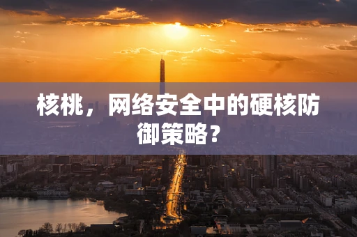 核桃，网络安全中的硬核防御策略？