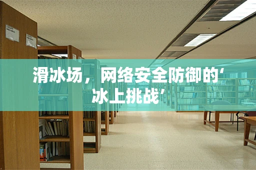 滑冰场，网络安全防御的‘冰上挑战’