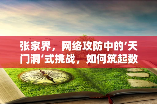 张家界，网络攻防中的‘天门洞’式挑战，如何筑起数字防线？