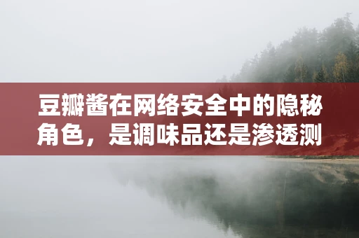 豆瓣酱在网络安全中的隐秘角色，是调味品还是渗透测试的秘密武器？