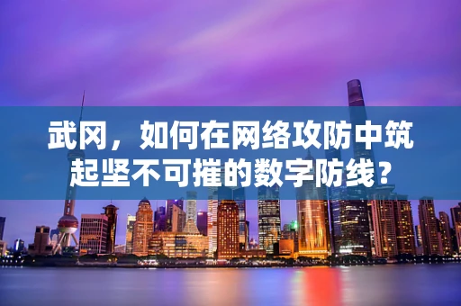 武冈，如何在网络攻防中筑起坚不可摧的数字防线？