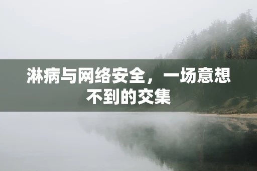 淋病与网络安全，一场意想不到的交集