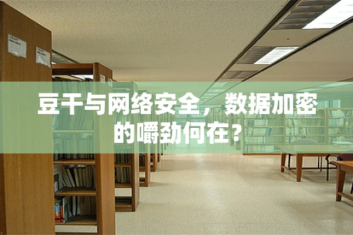 豆干与网络安全，数据加密的嚼劲何在？
