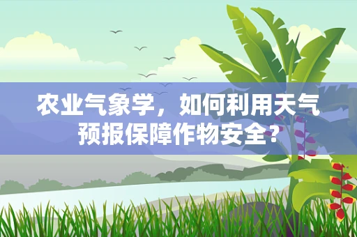 农业气象学，如何利用天气预报保障作物安全？