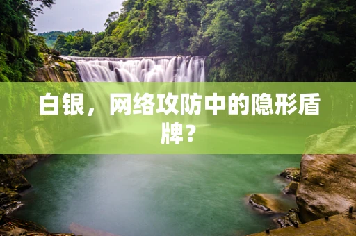 白银，网络攻防中的隐形盾牌？