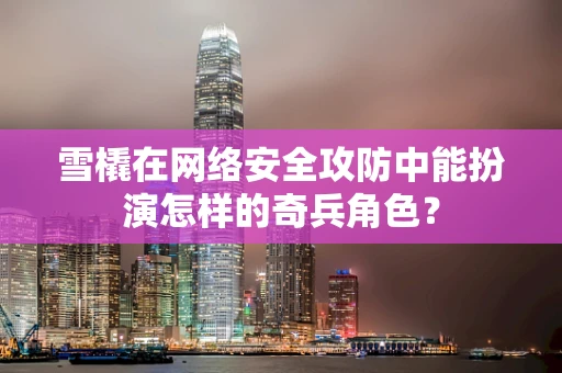 雪橇在网络安全攻防中能扮演怎样的奇兵角色？