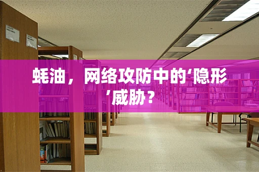 蚝油，网络攻防中的‘隐形’威胁？