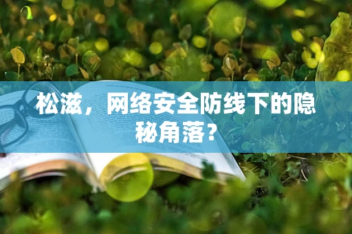 松滋，网络安全防线下的隐秘角落？