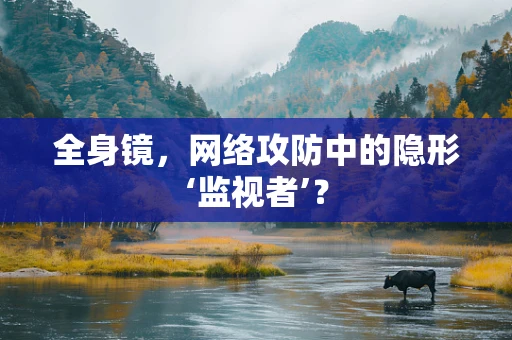 全身镜，网络攻防中的隐形‘监视者’？