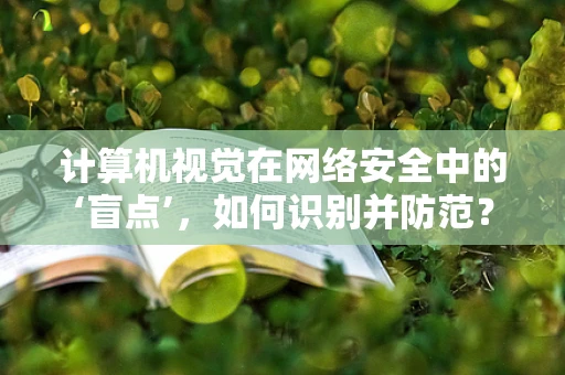 计算机视觉在网络安全中的‘盲点’，如何识别并防范？