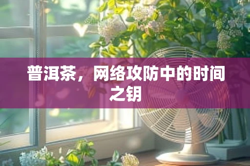 普洱茶，网络攻防中的时间之钥