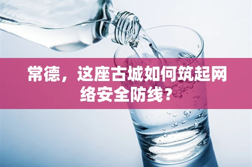 常德，这座古城如何筑起网络安全防线？