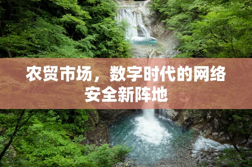 农贸市场，数字时代的网络安全新阵地