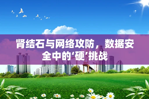 肾结石与网络攻防，数据安全中的‘硬’挑战