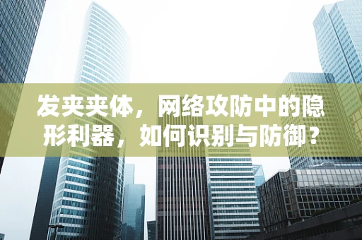 发夹夹体，网络攻防中的隐形利器，如何识别与防御？