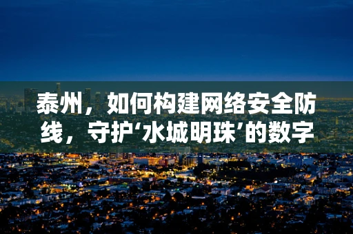 泰州，如何构建网络安全防线，守护‘水城明珠’的数字安全？