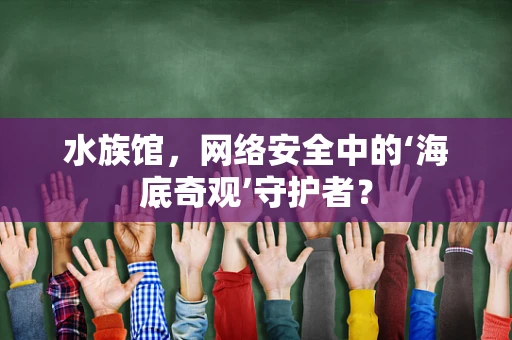 水族馆，网络安全中的‘海底奇观’守护者？