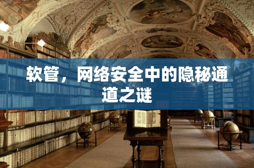 软管，网络安全中的隐秘通道之谜