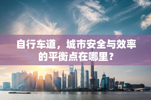 自行车道，城市安全与效率的平衡点在哪里？