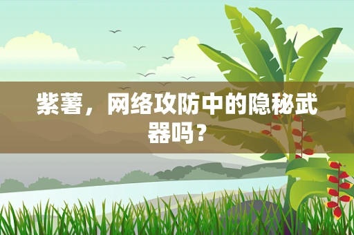紫薯，网络攻防中的隐秘武器吗？