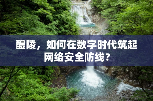 醴陵，如何在数字时代筑起网络安全防线？