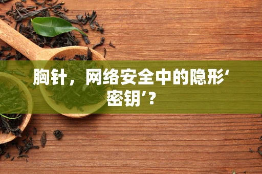 胸针，网络安全中的隐形‘密钥’？