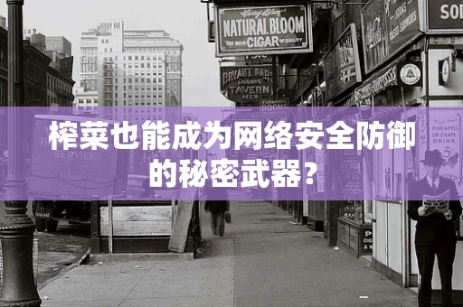 榨菜也能成为网络安全防御的秘密武器？