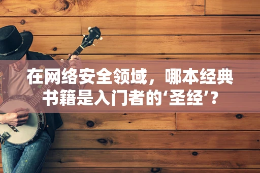 在网络安全领域，哪本经典书籍是入门者的‘圣经’？