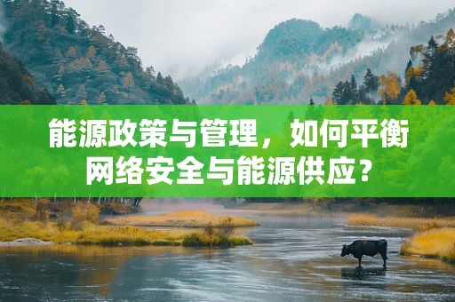 能源政策与管理，如何平衡网络安全与能源供应？