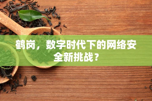 鹤岗，数字时代下的网络安全新挑战？