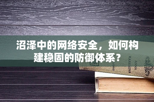 沼泽中的网络安全，如何构建稳固的防御体系？